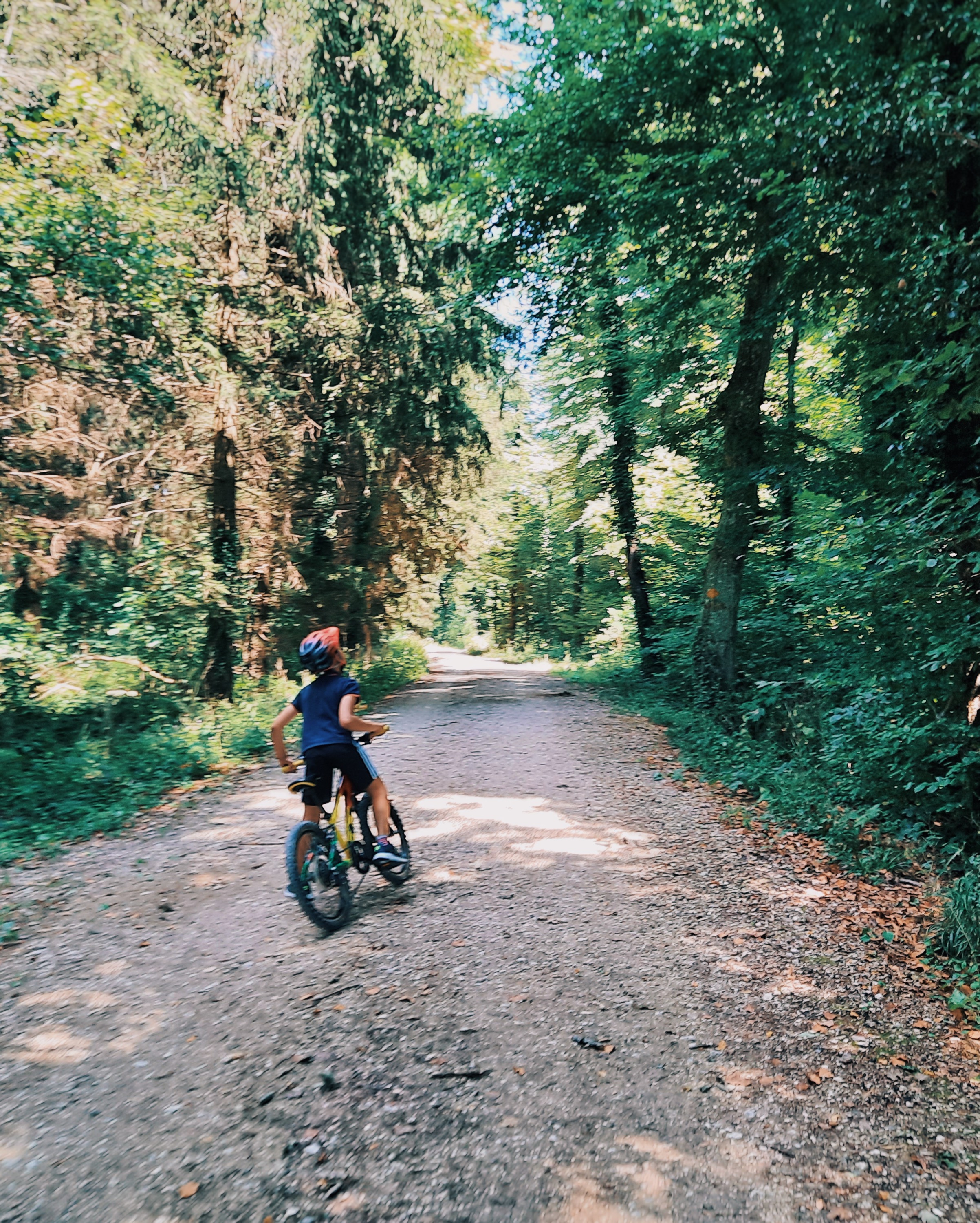 Fahrradtour im Wald