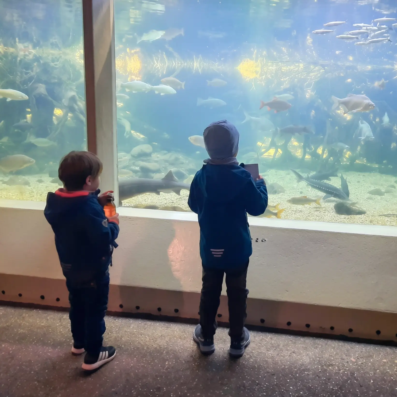Ausflug in den Zoo Basel